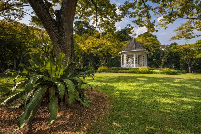 瑞士与新加坡，谁的综合实力更强大 