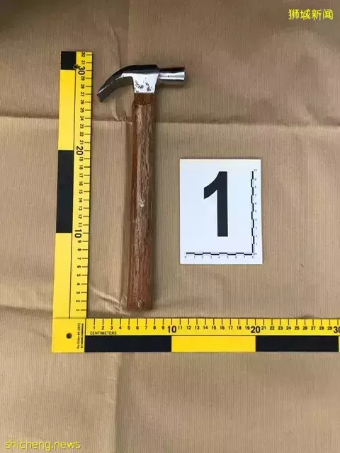 “大阵仗!我在新加坡金文泰看到6辆警车、10多名警察出动”