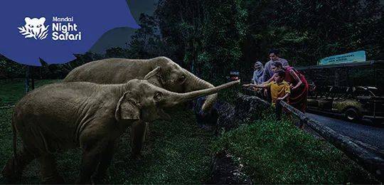 新加坡野生动物保育集团改名为“万态保育集团”,河川生态园和飞禽公园也有了新名字