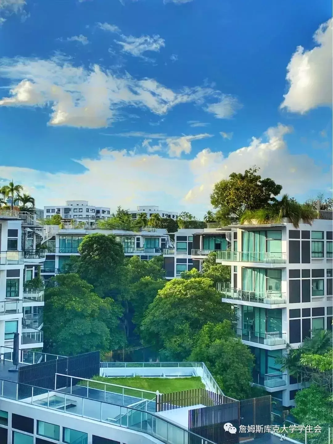 幹貨滿滿 新加坡租房指南