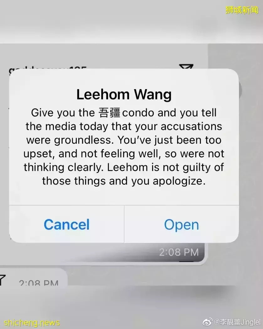 最新！李靓蕾曝光王力宏簡訊，送4億豪宅當封口費！徐若瑄：沒有對不起新加坡老公