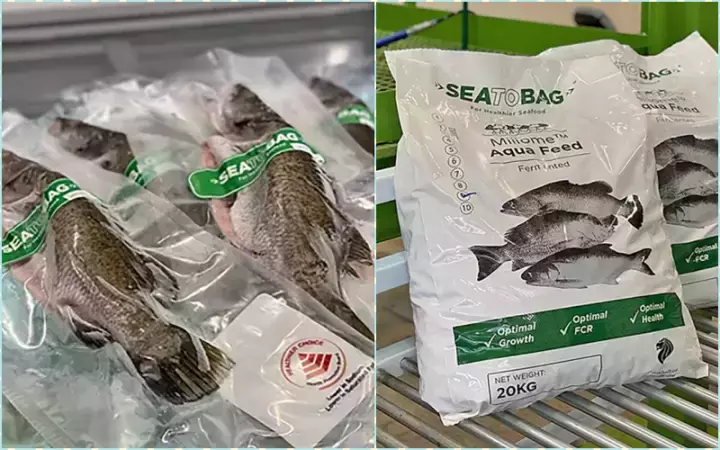 新春吃喝玩乐 邻里消费能赢奖