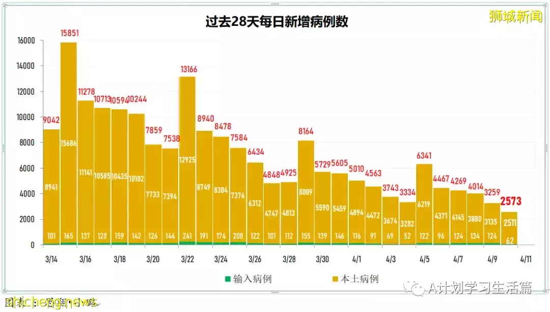 新增2568起，住院病患還有339人；新加坡冠病疫情持續好轉