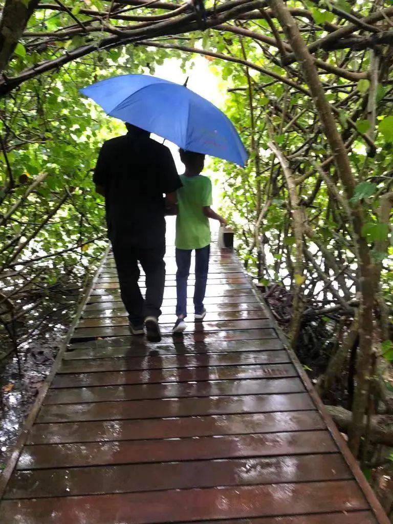 这位新加坡自闭症男孩,一动手就感动了全世界,预测这会刷爆朋友圈