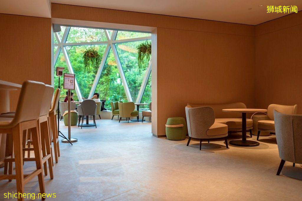 “Runes Cafe”玻璃房温室咖啡馆☀大片透明窗环绕、阳光倾泻而入,感受慵懒与宁静☕