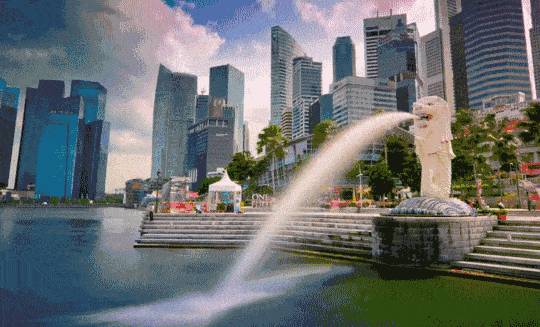 新加坡部长透露每年批多少公民、PR！这些人更容易获批