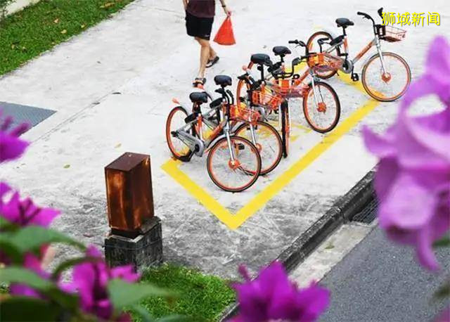 “被迫獨立”的重要港口到“亞洲四小龍”，新加坡走了55年