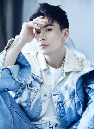 疫下无法及时办手续 戴向宇痛失狮城永久居民权