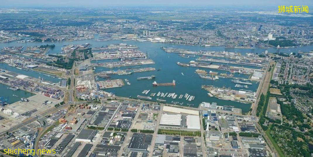 鹿特丹、雪梨、新加坡、上海，这些港口城市/国家有什么不一样