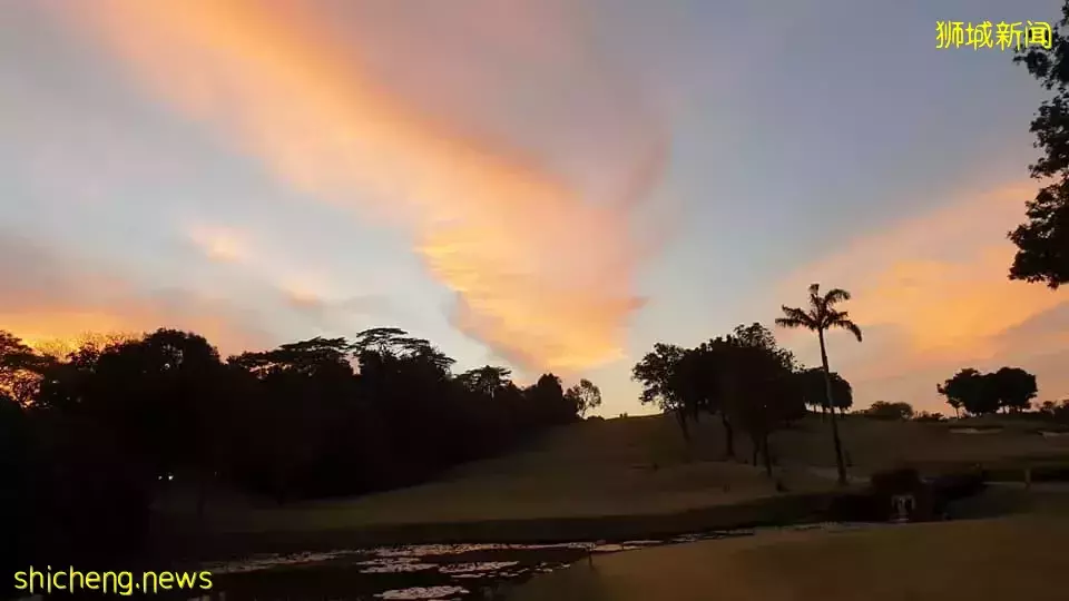 无限Lok Lok自助烧烤之夜!还有现场音乐表演气氛直接拉满