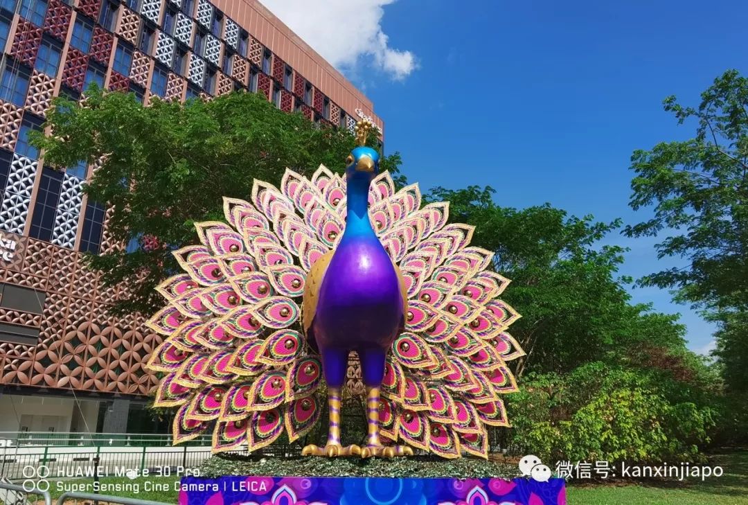 美炸！新加坡迎来屠妖节，小印度惊艳变这样！