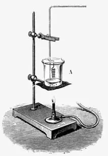 新加坡O水准報名結束，備考開始，攻略在此，讓你考試萬無一失