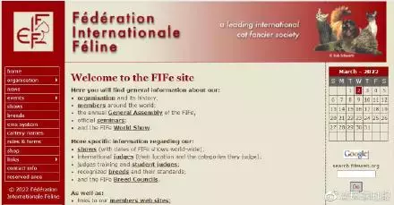 俄罗斯的人和猫,都被制裁了