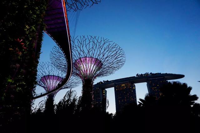 新加坡旅行|6天5晚奇遇狮城的日与夜