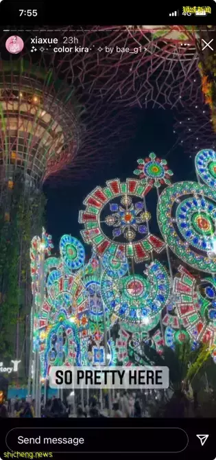 滨海湾花园圣诞 Wonderland 第一天开幕挤满人潮