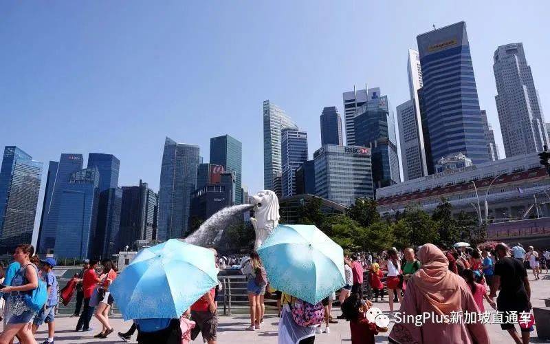 注意了！今年春節，新加坡或將收緊防疫措施