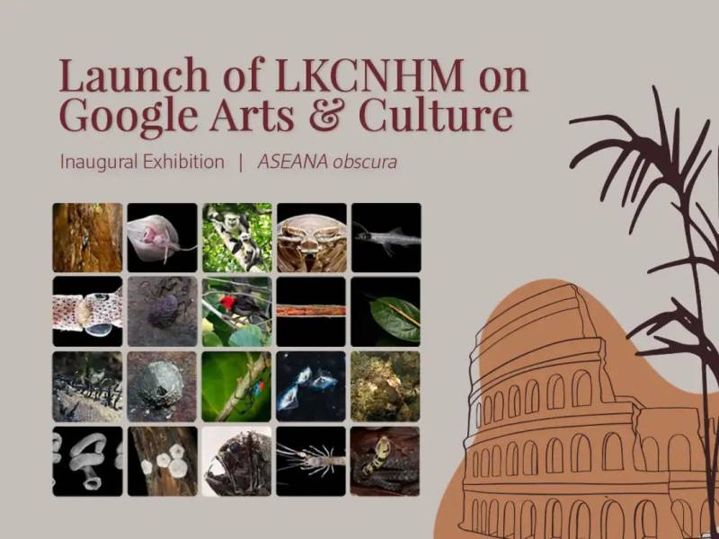 国大李光前自然历史博物馆成立五周年,推出线上专页及更多线上活动