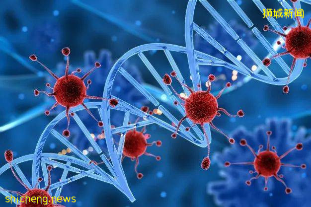 腰果也能做成消毒剂?食品科学团队合作创新