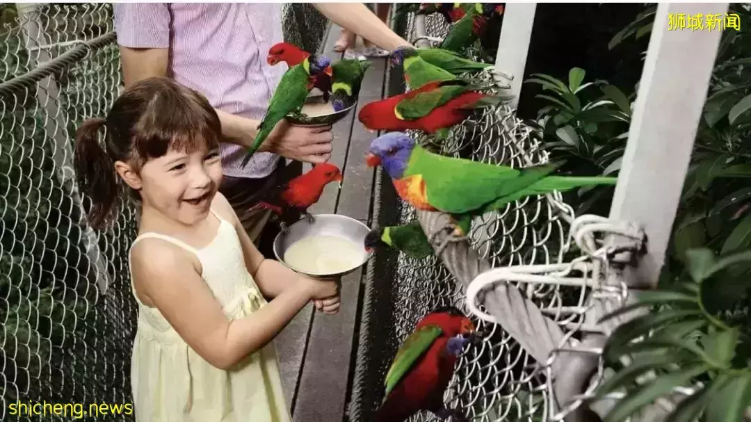 本周折扣!动物园门票五折!宜家儿童免费用餐!Pizza只要$0.99