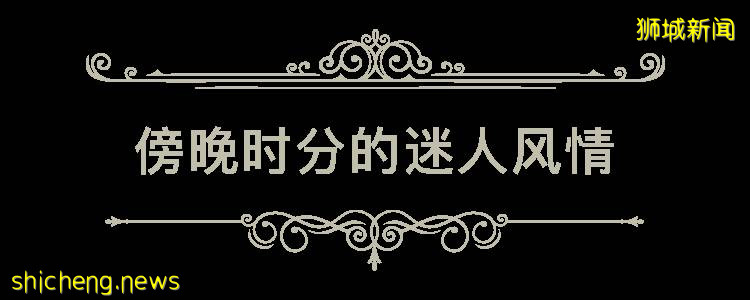 獅城的愛麗絲夢遊仙境，直落布蘭雅山間的歐式官邸The Alkaff Mansion