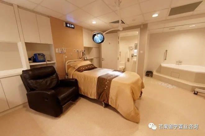 新加坡醫療之政府醫院