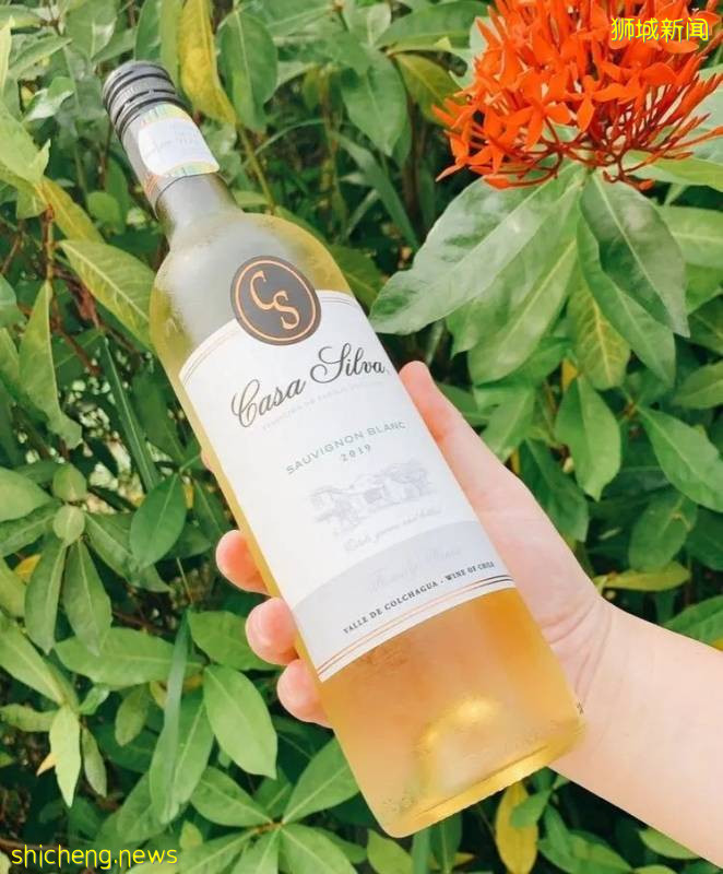 不能出国，坡里这些美食美景让你假装在国外