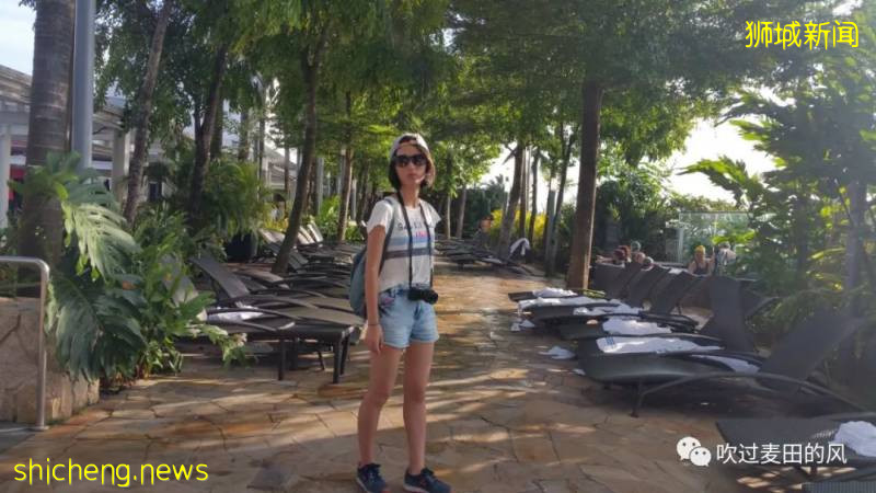 新加坡:遇见多元文化