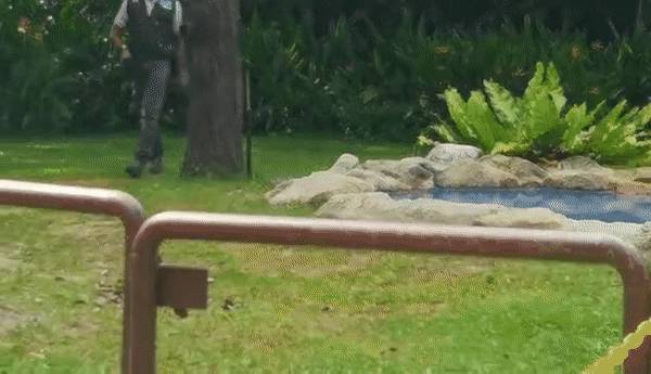 免費送票!帶倆娃嗨翻亞洲最大飛禽園,400多種5000多只鳥,一路驚喜不斷