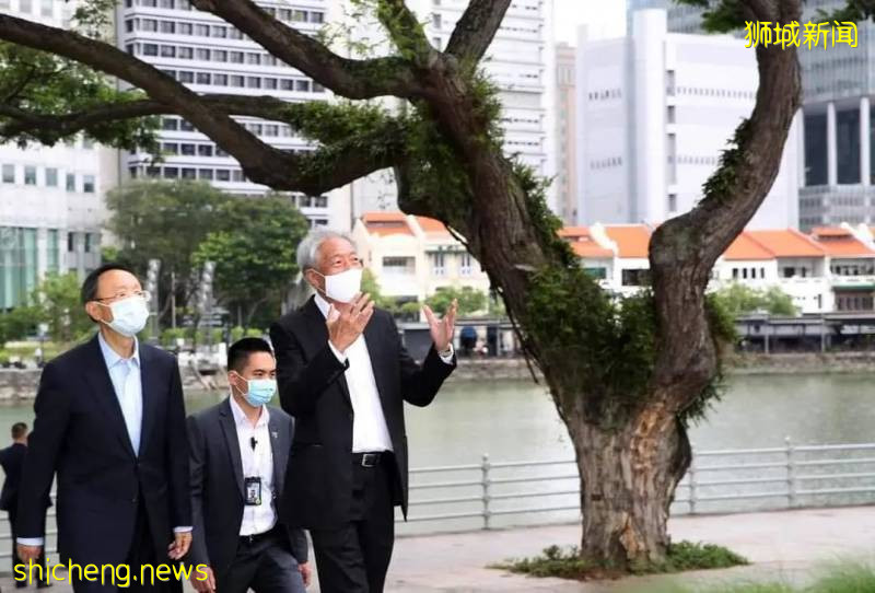 新加坡總理李顯龍:疫情若持續受控,新中快捷通道可擴至更多中國省市