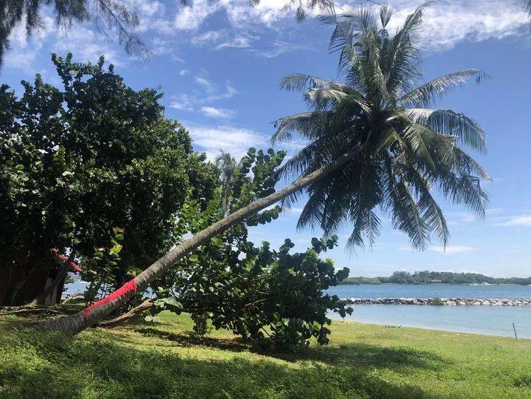 精彩国内游:新加坡南部岛屿休闲之旅