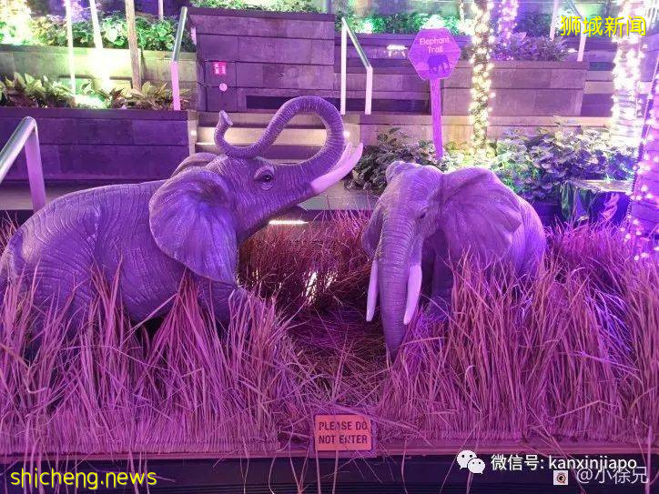 趣探樟宜奇妙之旅,吃喝玩乐一整天