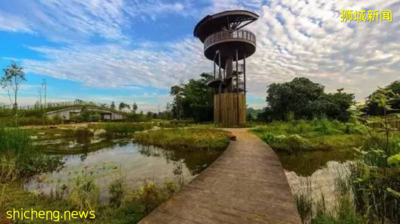 美如畫卷的新加坡，等你來!