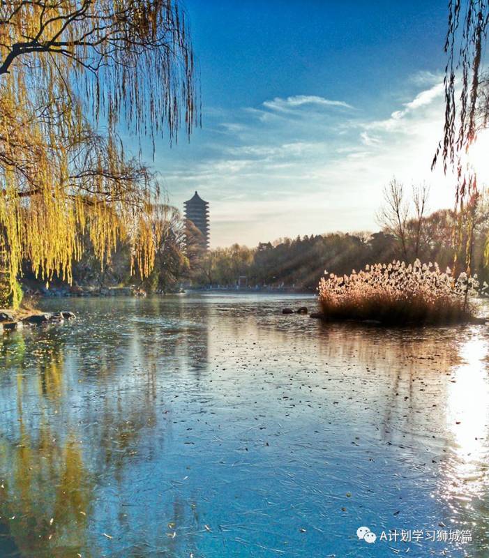 THE2021世界大學學科排名:社會科學