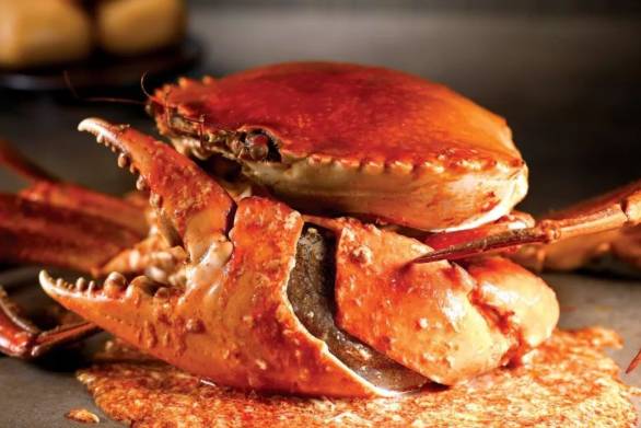 新加坡 生活小tips,融入当地生活