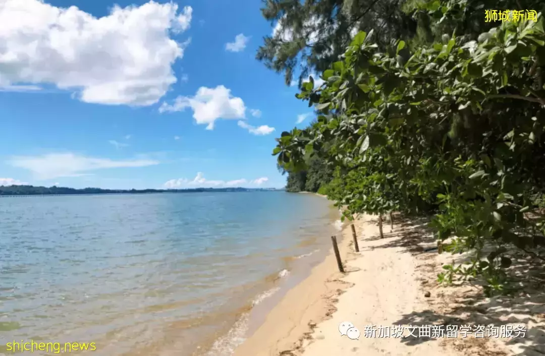 新加坡留学假日好去处,比马尔代夫更美的周边小岛盘点