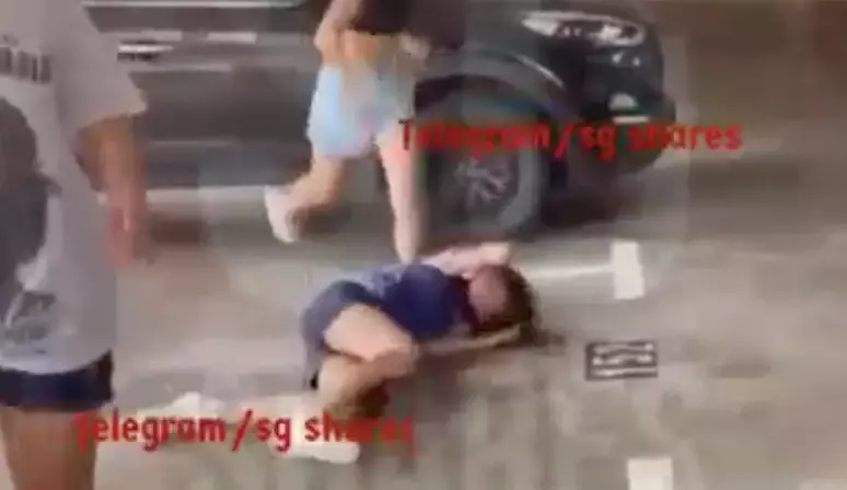 两少女停车场殴打女同学,新加坡青少年暴力行为何时止