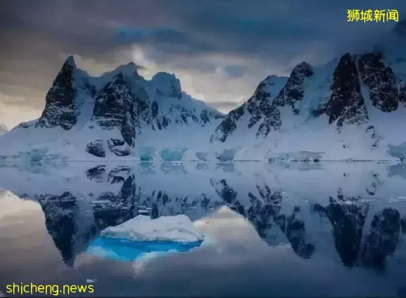 从热辣赤道穿越至冰雪南极是神马体验,新加坡这群人包船玩“冰火”