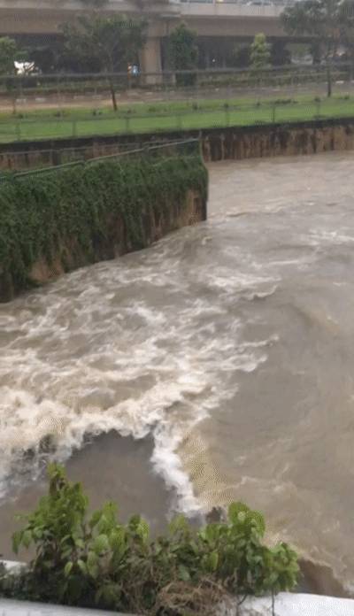 2020年,新加坡发生的11个奇葩小事儿