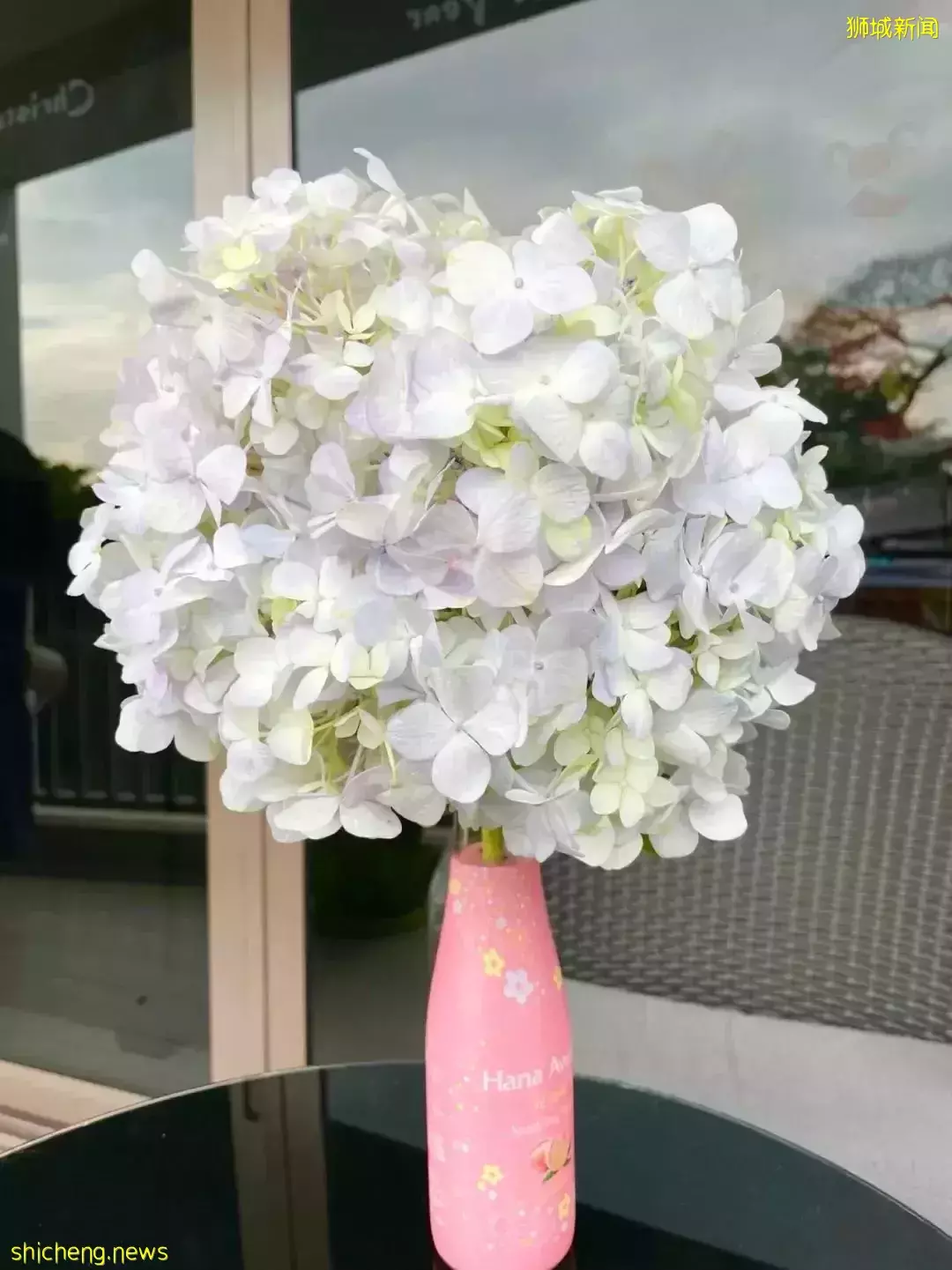 鮮花在熱帶也能養1個月？資深花友新加坡買花、養護大揭秘