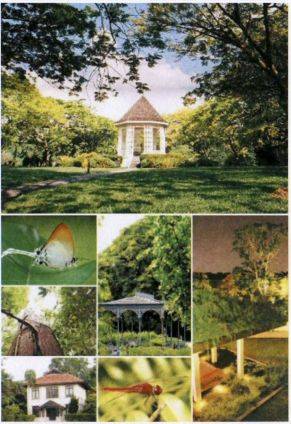 新加坡：研学旅行的三种路径，值得学习