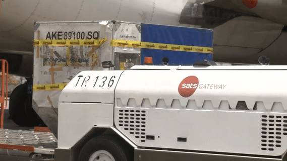 來了!首批中國疫苗抵達新加坡!部長官宣:第三階段將持續到疫苗生效