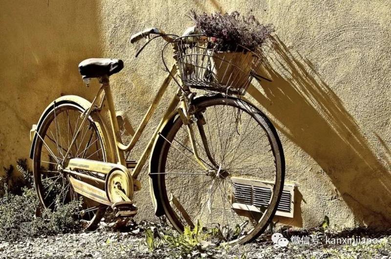 紅藍白色燈柱，這個新加坡理發店的傳統標志代表了什麽