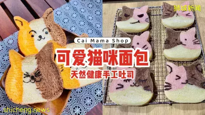 可愛到爆炸的貓咪面包“Cai Mama Shop”😽天然健康的手工吐司，小批量制作，要買要快🛒