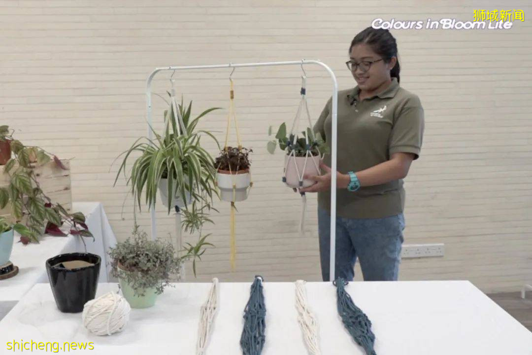 寶藏！新加坡本地媽媽最愛給娃看的7大網站，烹饪、運動、卡拉 OK，太好玩了