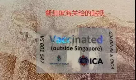 2021年12月最全新加坡入境指南