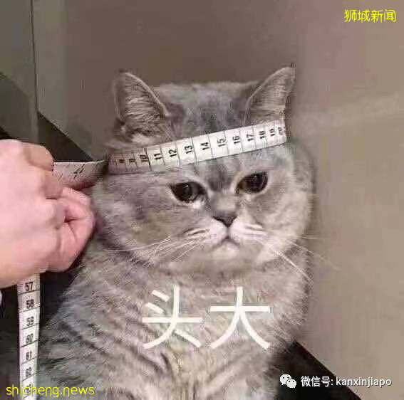 “我老公确诊了，他是重症中的轻症”