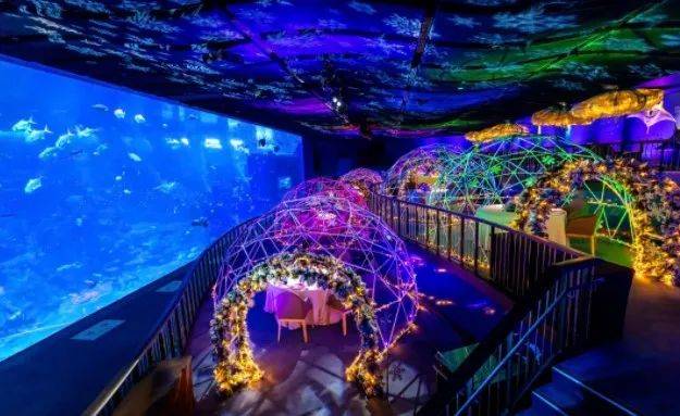 新加坡聖誕新年活動有點多,幫你彙總所有活動結束日期,方便打卡喲