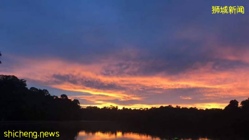 這樣的新加坡真是待不下！去！了