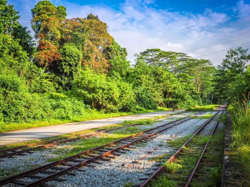 每一張都是 Ins 大片！這樣的新加坡你見過嗎