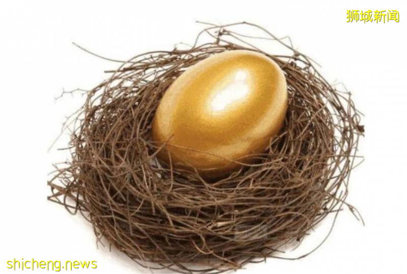 網上有人深扒了新加坡漸火的"淘小鋪"!